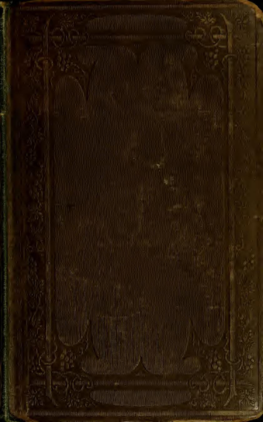 The history of ancient art : among the Greeks